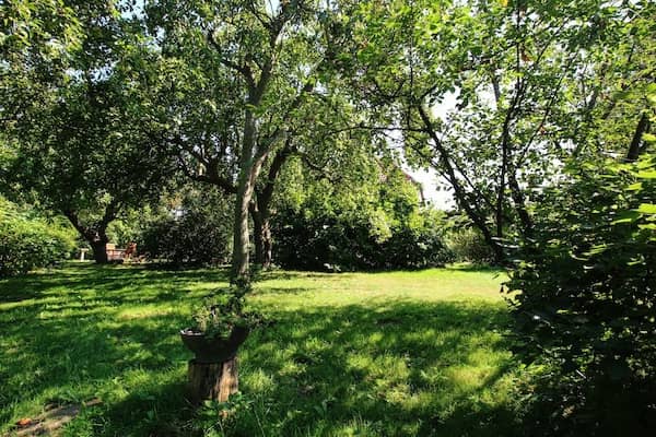 Gartenansicht im Sommer