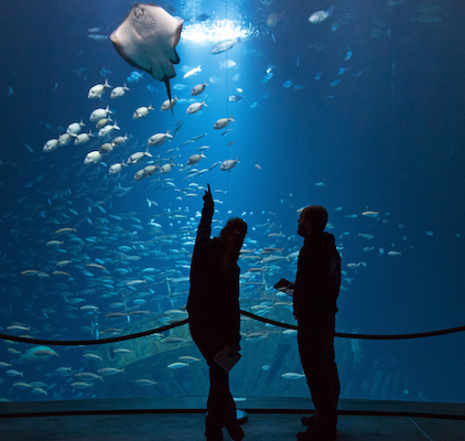 Ozeaneum Stralsund